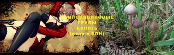стаф Балахна