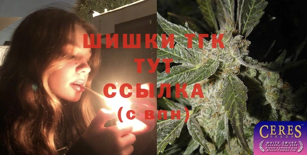 стаф Балахна