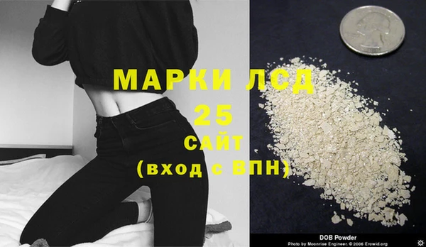 дживик Баксан