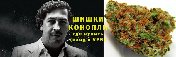 стаф Балахна